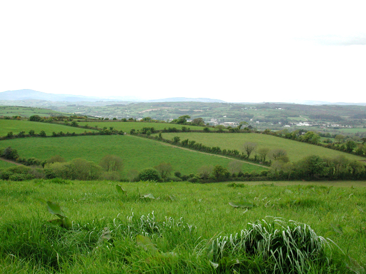 Boulteen E3.jpg 359.7K
